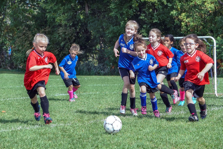 cygfl city of york junior football